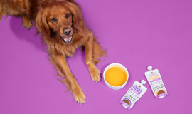 Why Pet Parents Are Adding Bone Broth to Their Dog’s Bowl