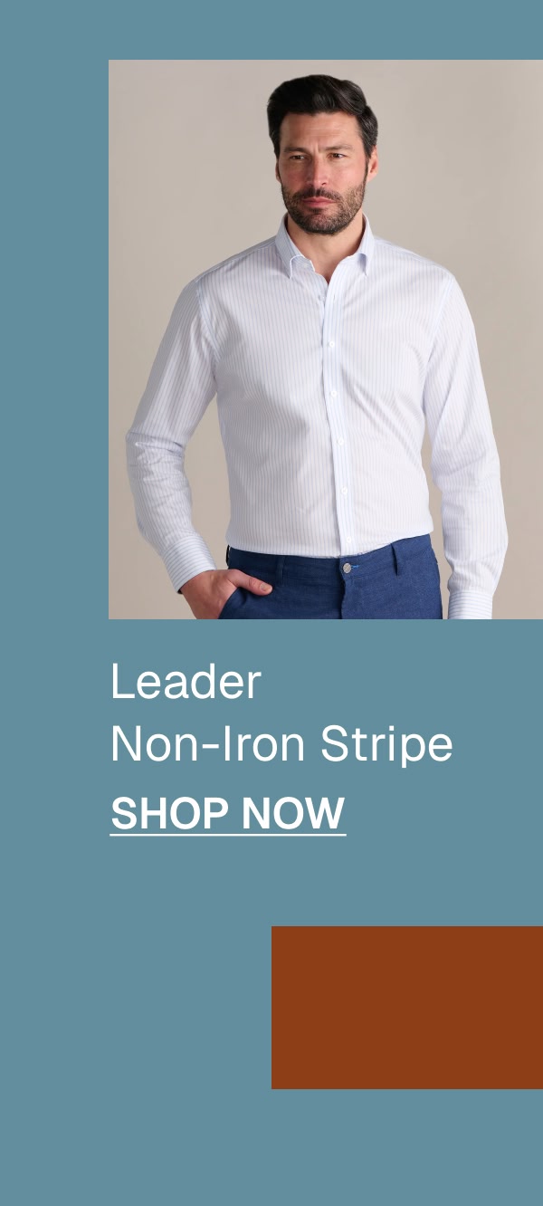 Leader Non-Iron Stripe