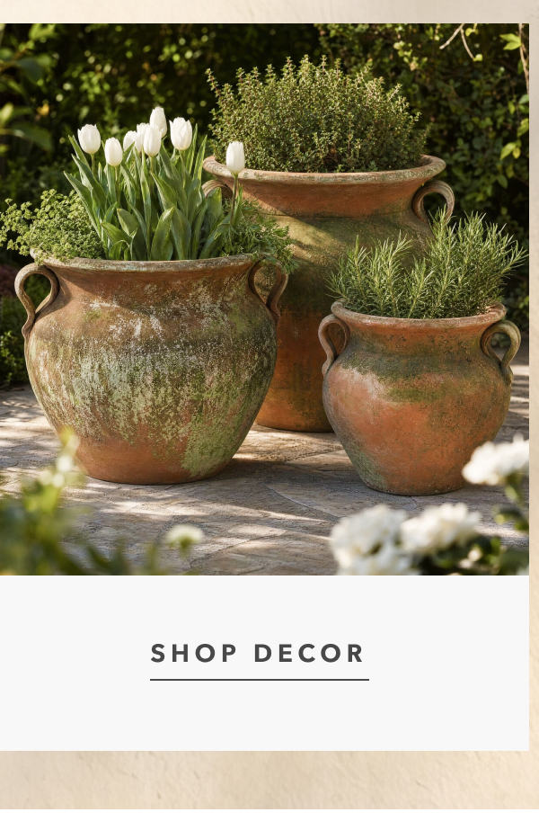 Shop Decor