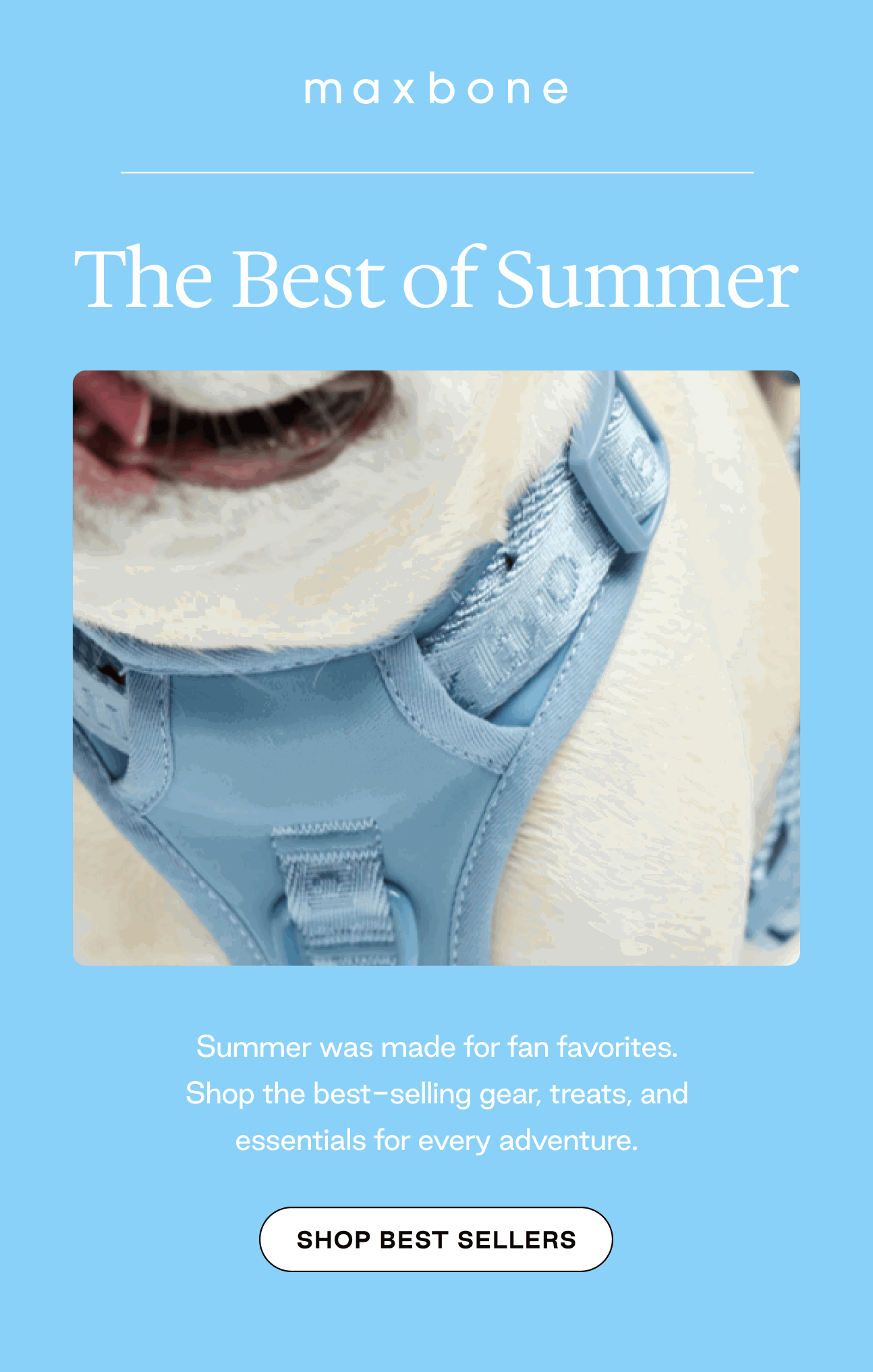 Shop Summer Best Sellers
