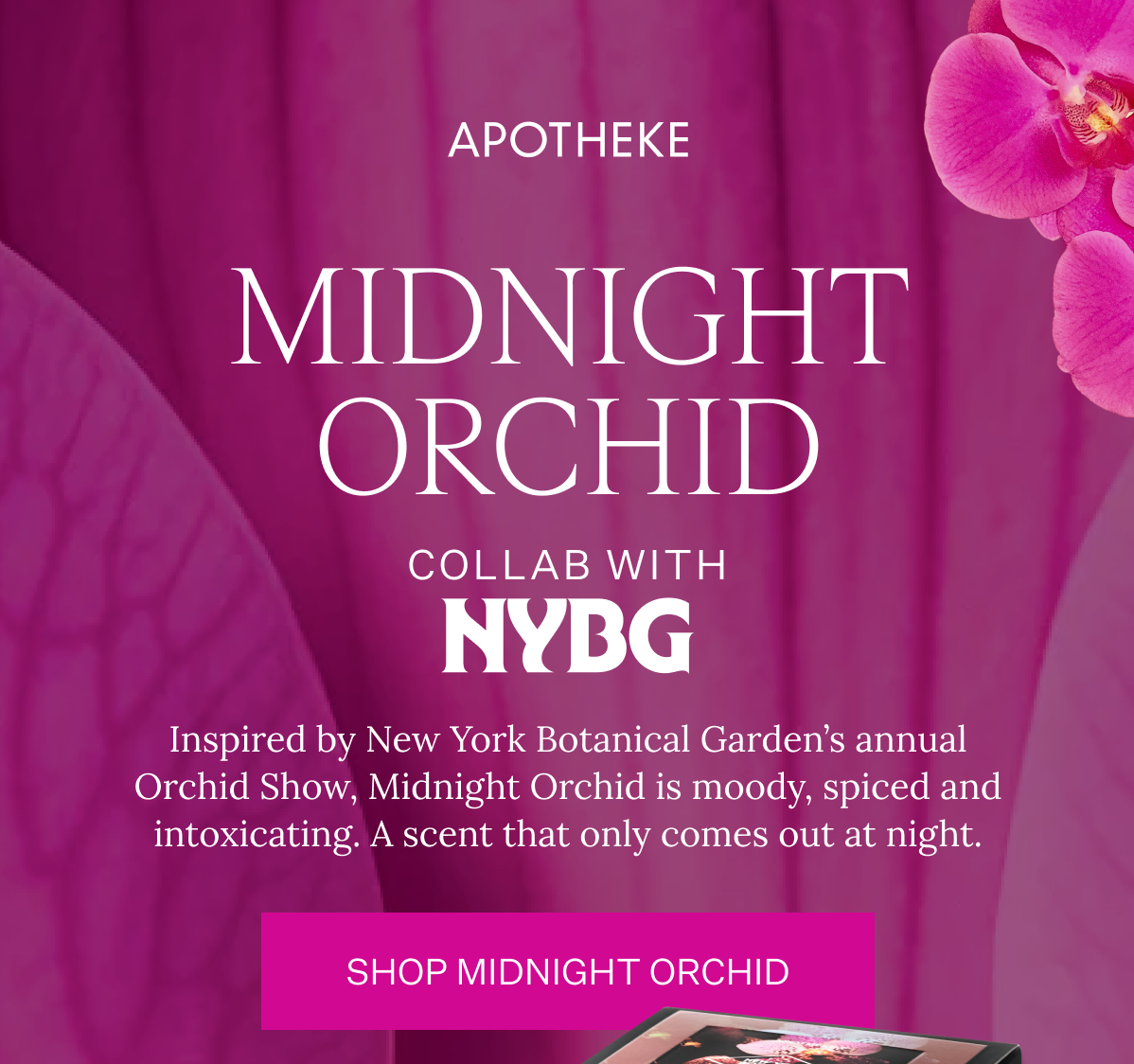 Inspired by New York Botanical Garden’s annual Orchid Show, Midnight Orchid is moody, spiced and intoxicating. A scent that only comes out at night. 