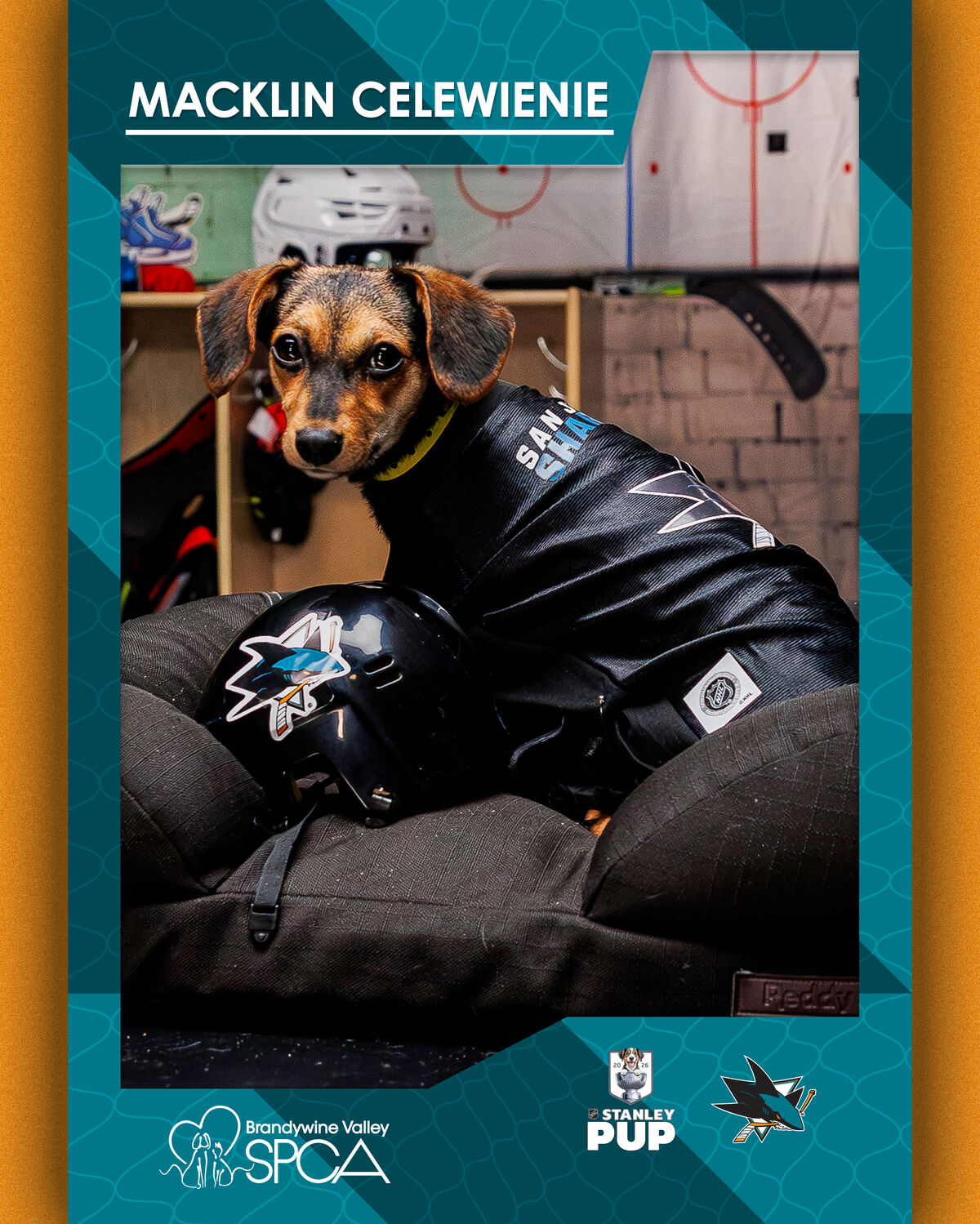 Stanley Pup