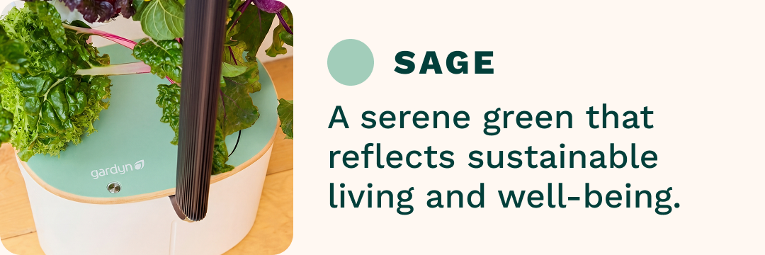 Sage | A serene green that reflects sustainable living and well-being.