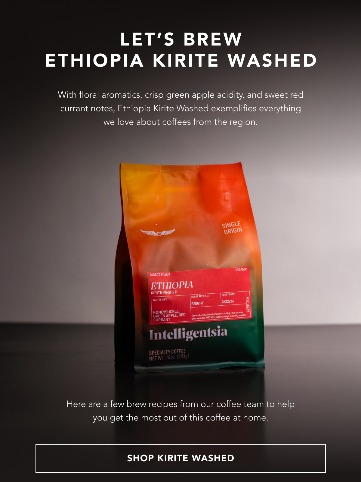 Let’s brew Ethiopia Kirite Washed. With floral aromatics, crisp green apple acidity, and sweet red currant notes, Ethiopia Kirite Washed exemplifies everything we love from a coffee of the region. Here are a few brew recipes from our coffee team to help you get the most out of this coffee at home.  | SHOP KIRITE WASHED