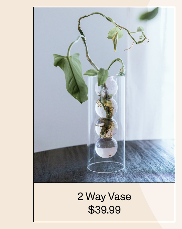 Two Way Vase