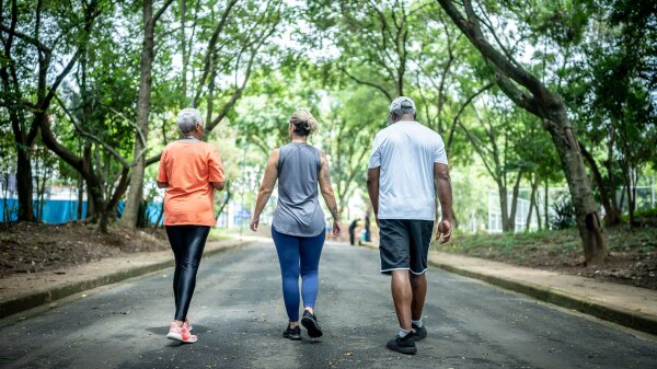 The backside view of three people walking side by side on the pavement through an area lined with trees. 