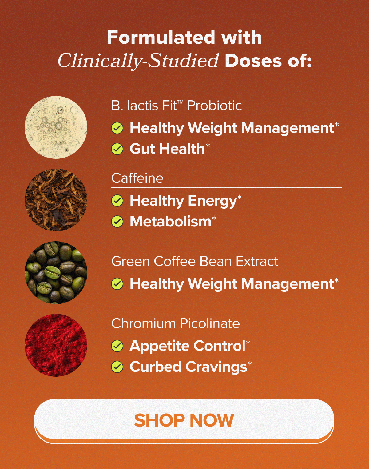 Formulated with clinically-studied doses of: B. lactic Fit Probiotic - healthy weight management*, gut health*, Caffeine - Healthy energy*, Metabolism*, Green coffee bean extract - healthy weight management*, Chromium Picolinate - Appetite control*, curbed cravings* SHOP NOW