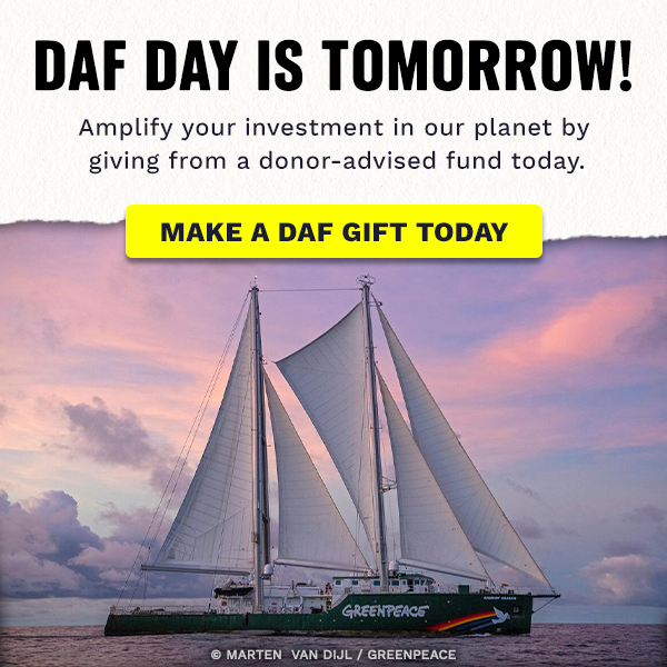 DAF Day is TOMORROW! Amplify your investment in our planet by giving from a donor-advised fund today. MAKE A DAF GIFT TODAY | Photo of the Rainbow Warrior in the Pacific Ocean | © Marten van Dijl / Greenpeace