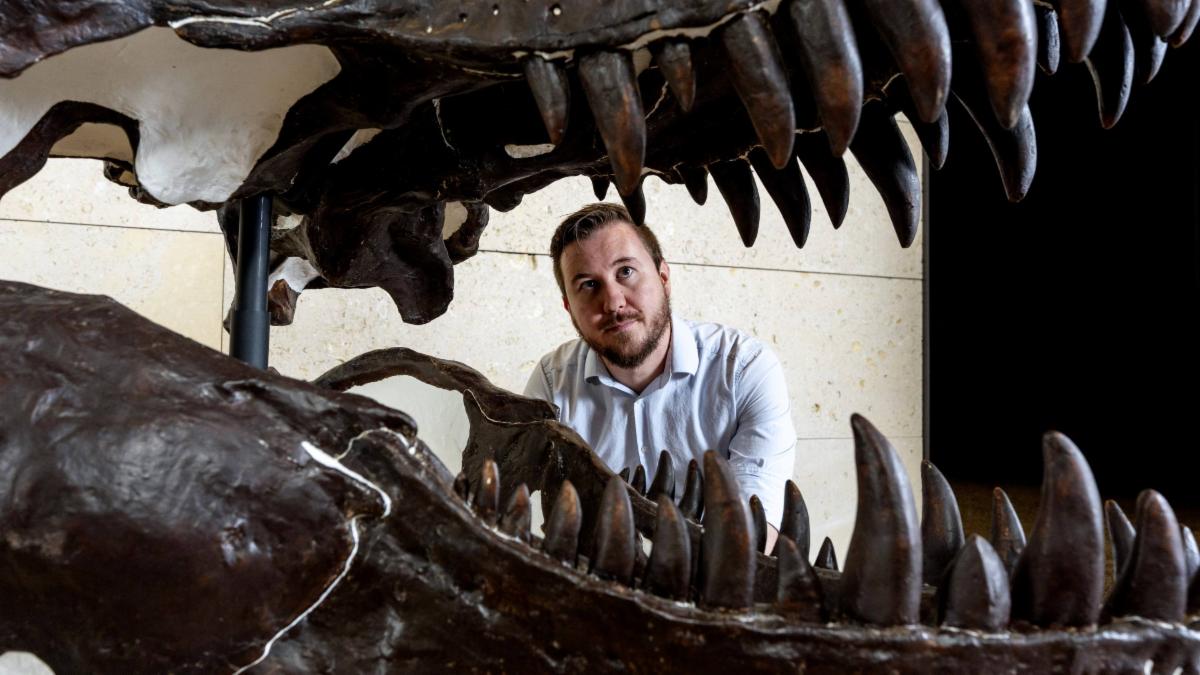 Fossil and paleontologist 