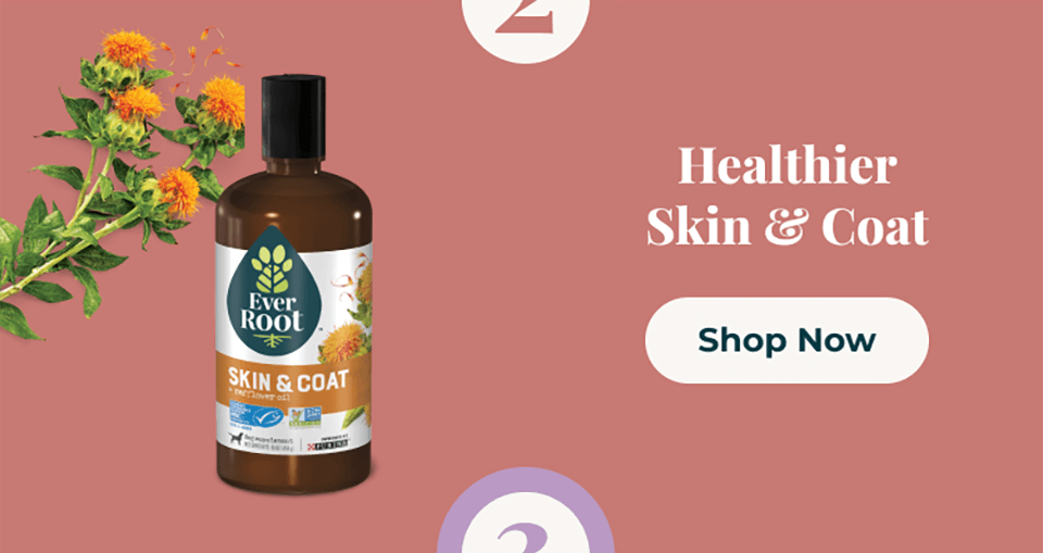 Skin Coat Image and Shop Now CTA 2