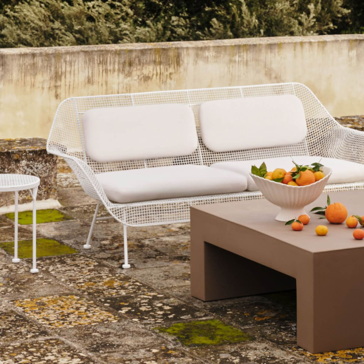 Discover the Collection