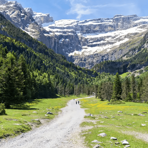 PYRENEES-SQUARE