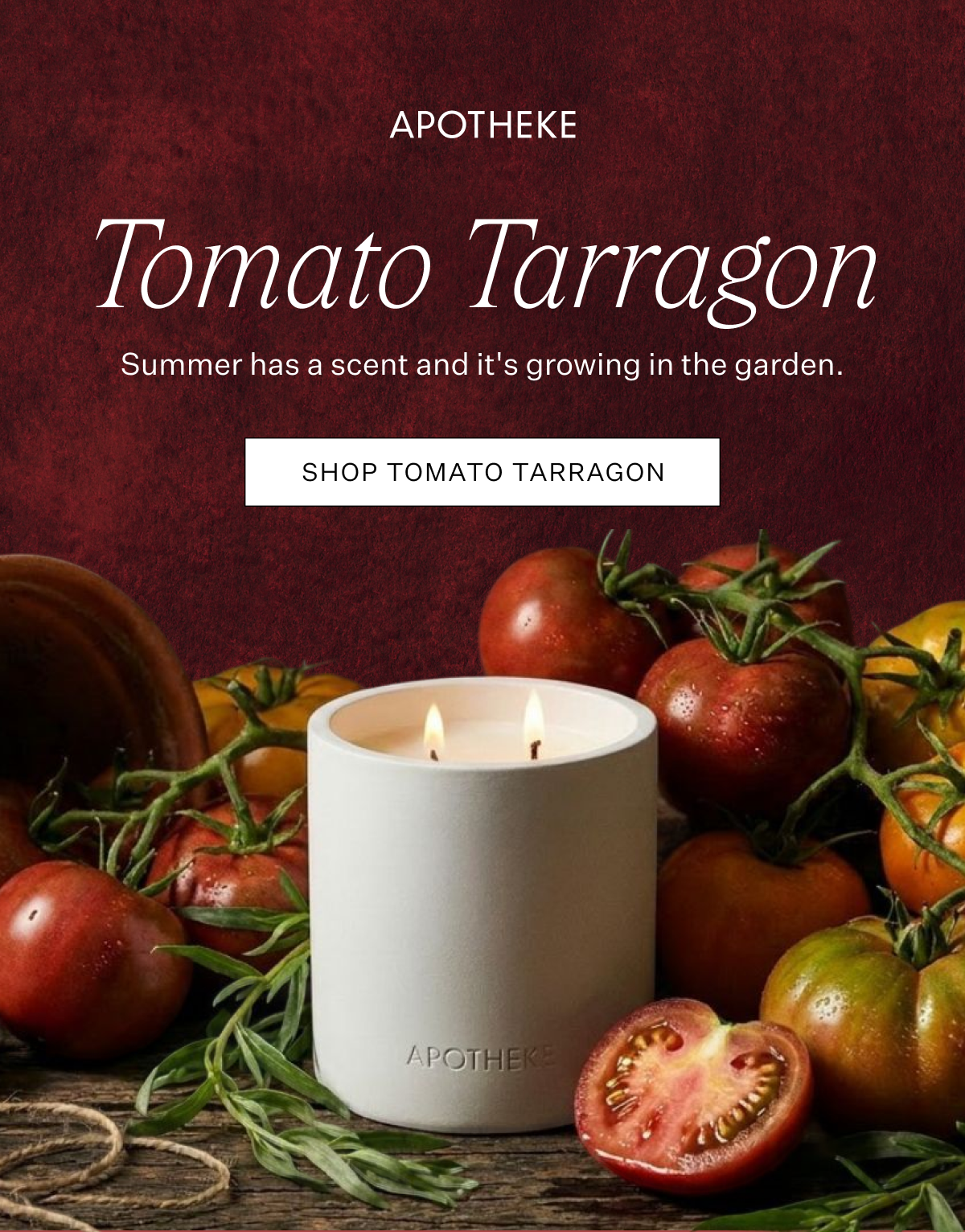 Tomato Tarragon 2-Wick Candle