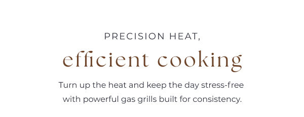 Precision Heat, Efficient Cooking