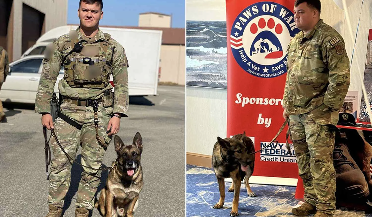 Two photos of a soldier and his military dog.