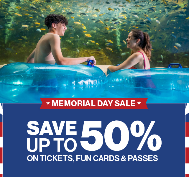 Plan Your Visit