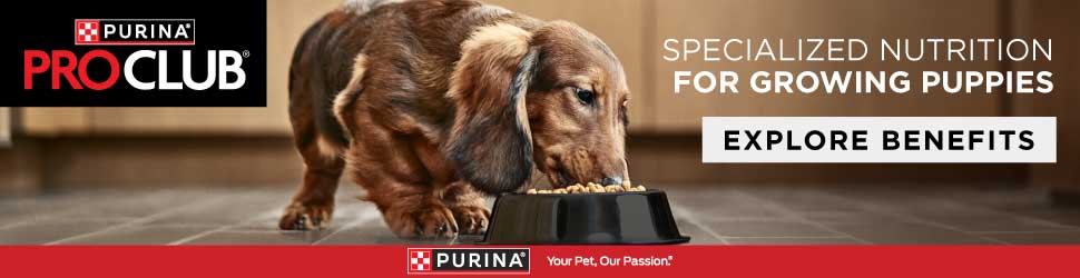 Purina Pro Club - Specialized Nutrition For Growing Puppies - Explore Benefits
