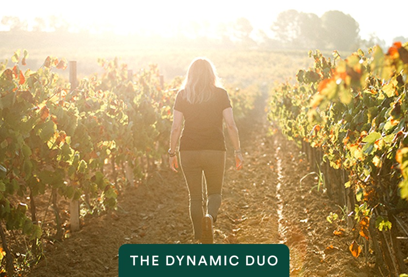 Woman walking through a sunlit vineyard with The Dynamic Duo badge on France & Spain: Paris, Bordeaux & Madrid — opens itinerary