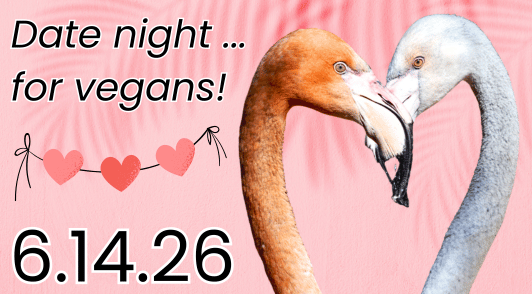 flamingos making a heart shape with the words date night for vegans