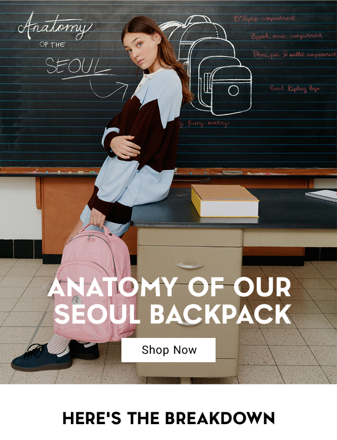 Anatomy Of Our Seoul Backpack