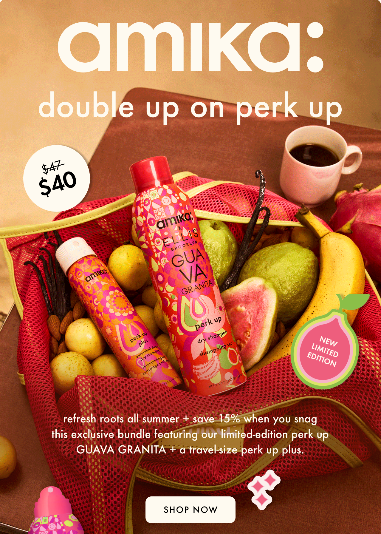 beach day besties dry shampoo duo
