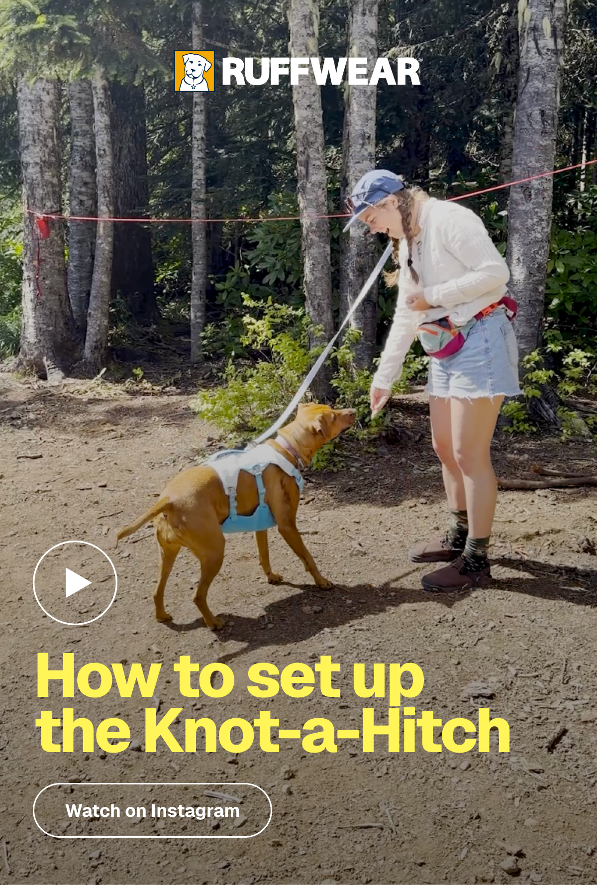 A human gives a dog a treat while on the Knot-A-Hitch. Watch how to set it up.