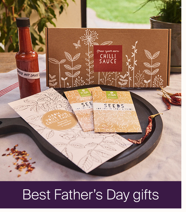 Best Father's Day gifts