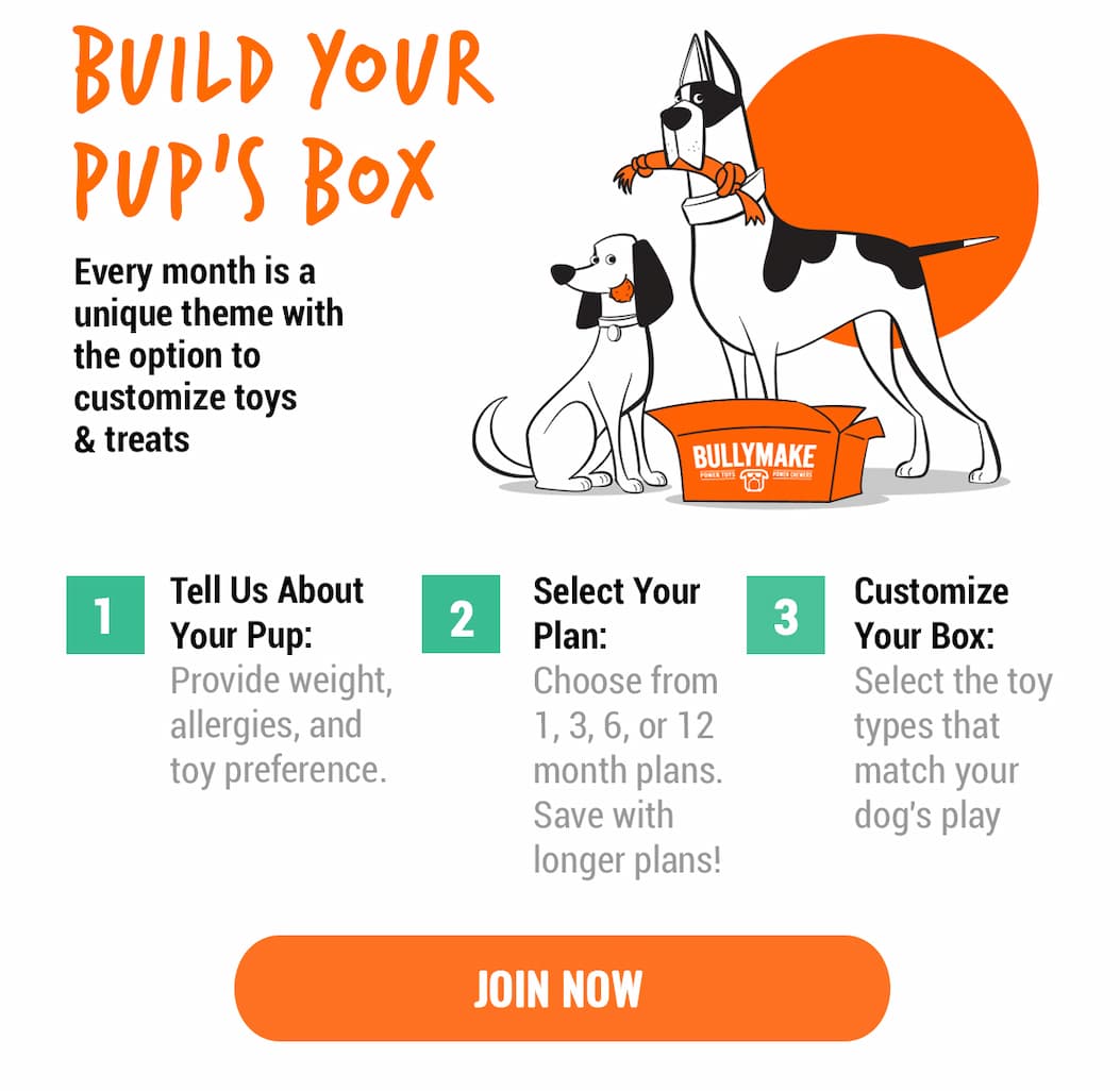 Bullymake Dog Toy Subscription Box