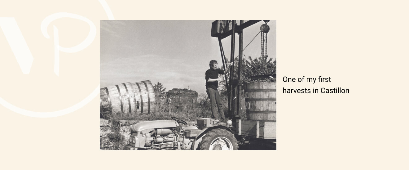 First harvest in Castillon