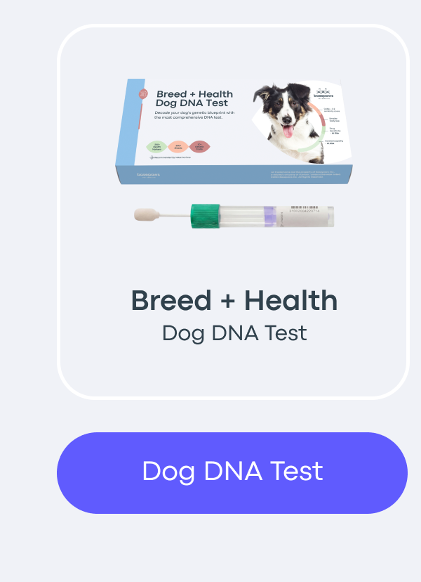Dog DNA Test