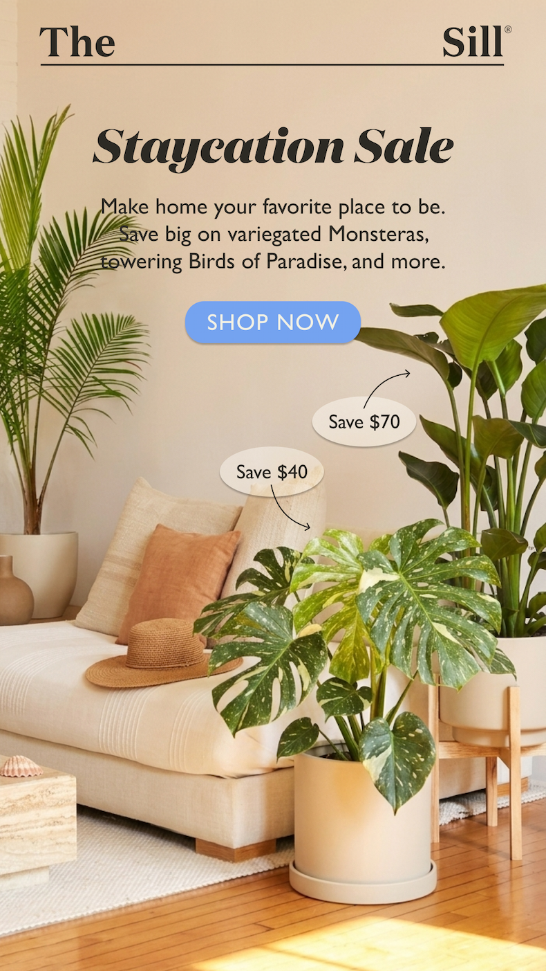Make home your favorite place to be. Save big on variegated Monsteras, towering Birds of Paradise, and more.