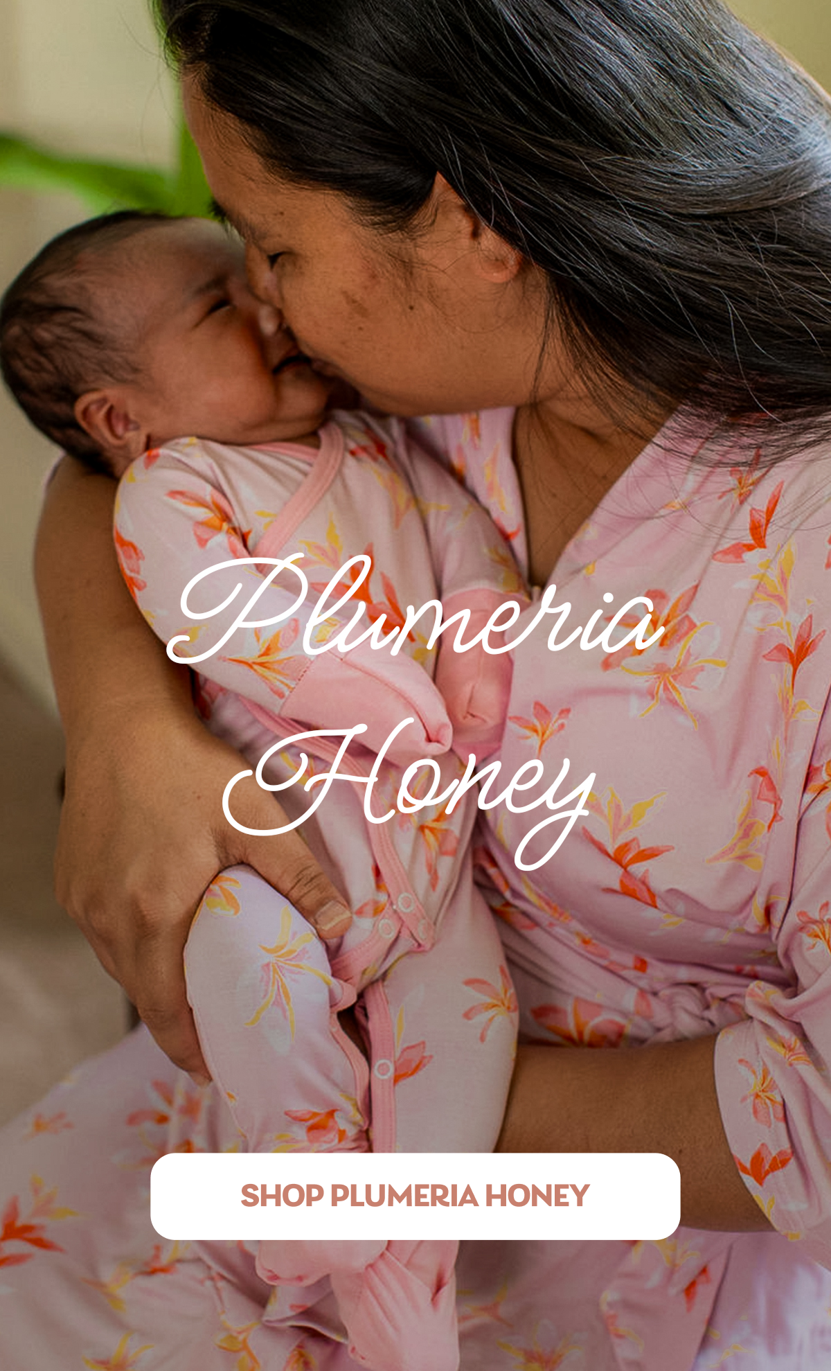 Plumeria Honey