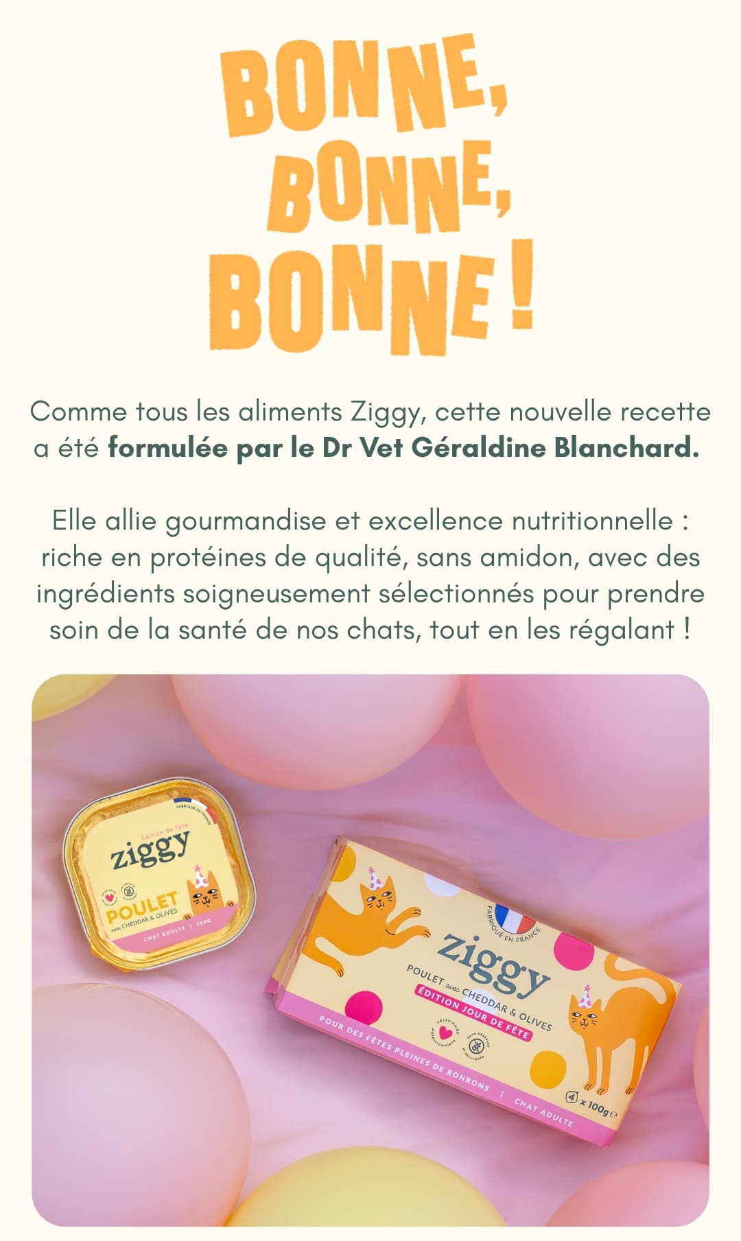 La pâtée Jour de Fête