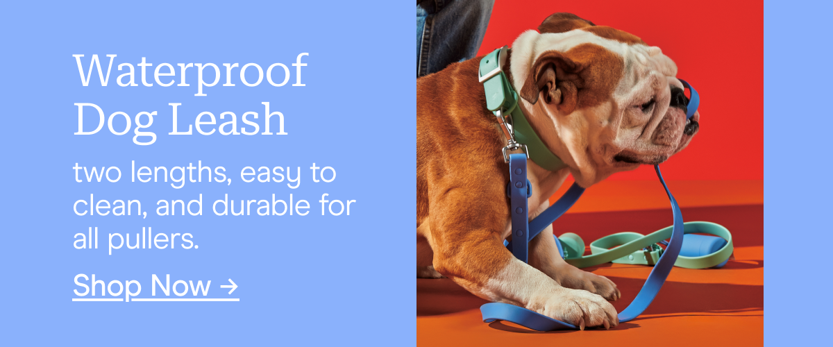 Waterproof  Dog Leash two lengths, easy to clean, and durable for all pullers. Shop Now →
