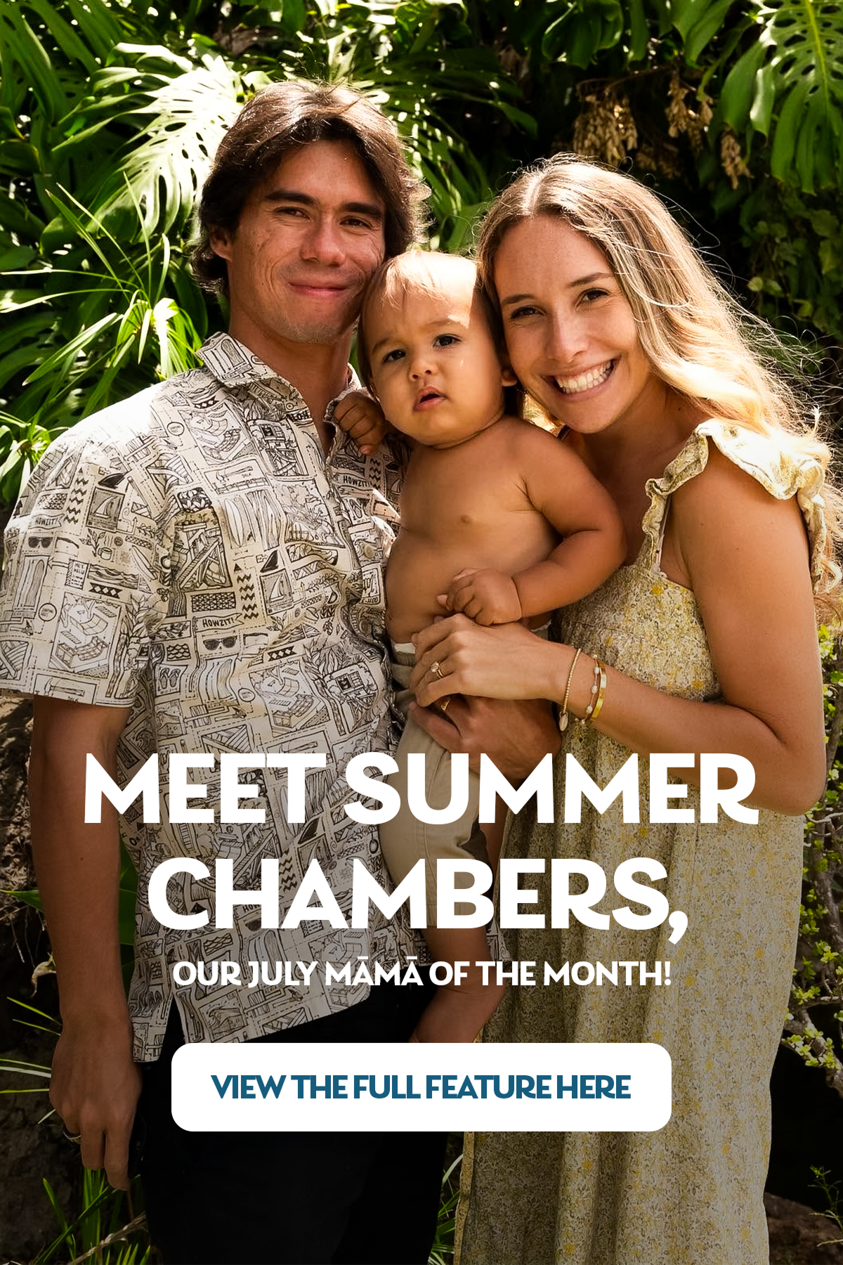 Meet summer chambers