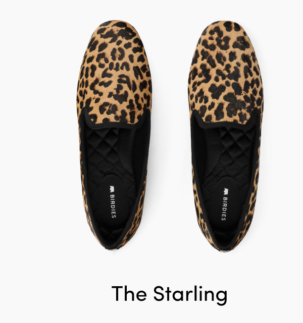 The Starling in Leopard Print Haircalf