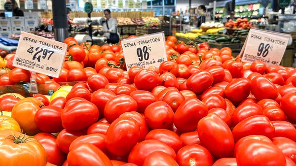 Mexican tomatoes are seen at a supermarket in Houston, Texas.