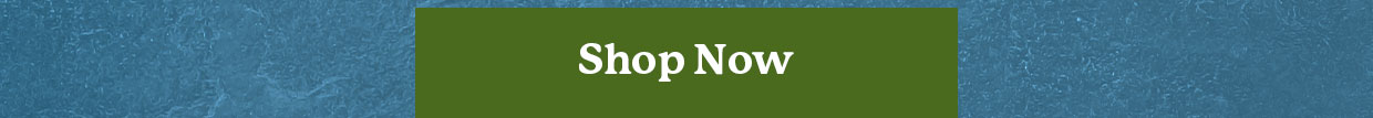 Shop Now >>