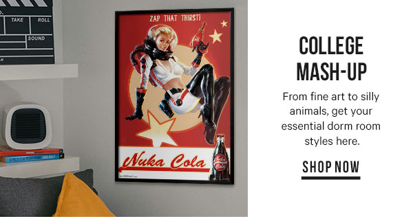 College Mash-Up: From fine art to silly animals, get your essential dorm room styles here.