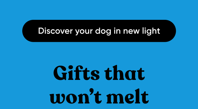 Discover your dog in new light