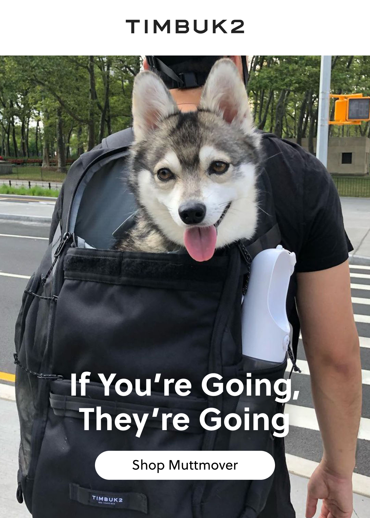 If You’re Going, They’re Going