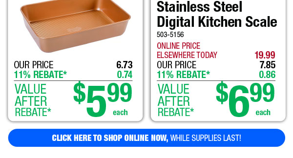 Stainless Steel Digital Kitchen Scale - ONLY $6.99 After Rebate*!