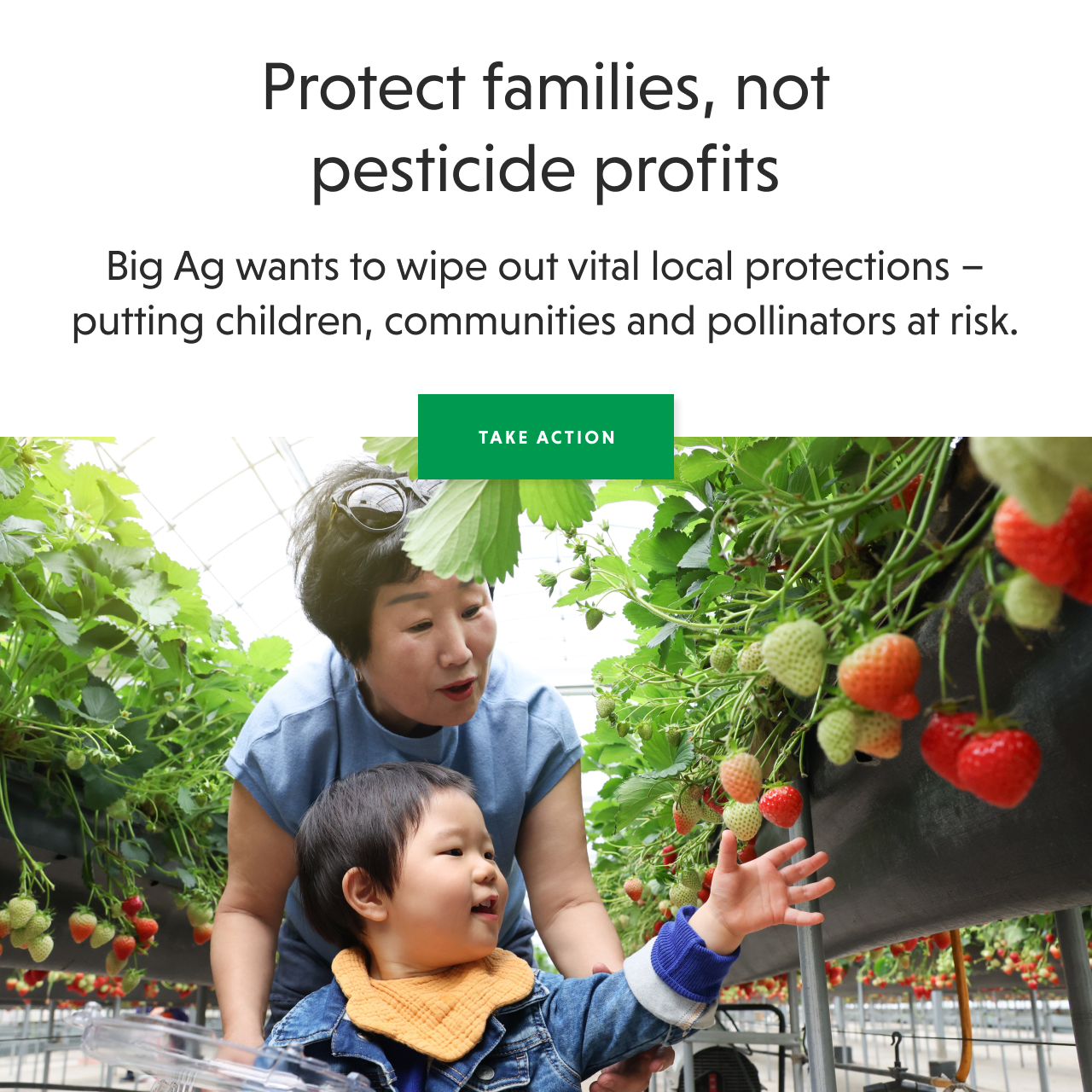 Protect pesticide laws! - TAKE ACTION