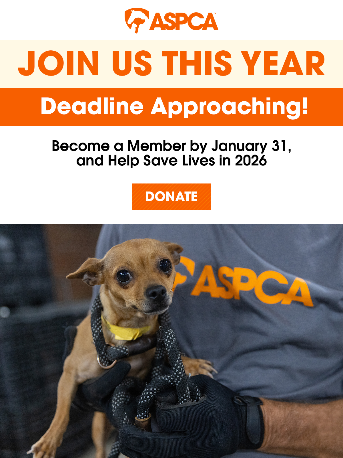 Become a member by January 31 and help saves lives in 2026.