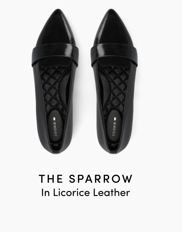 The Sparrow in Licorice Leather