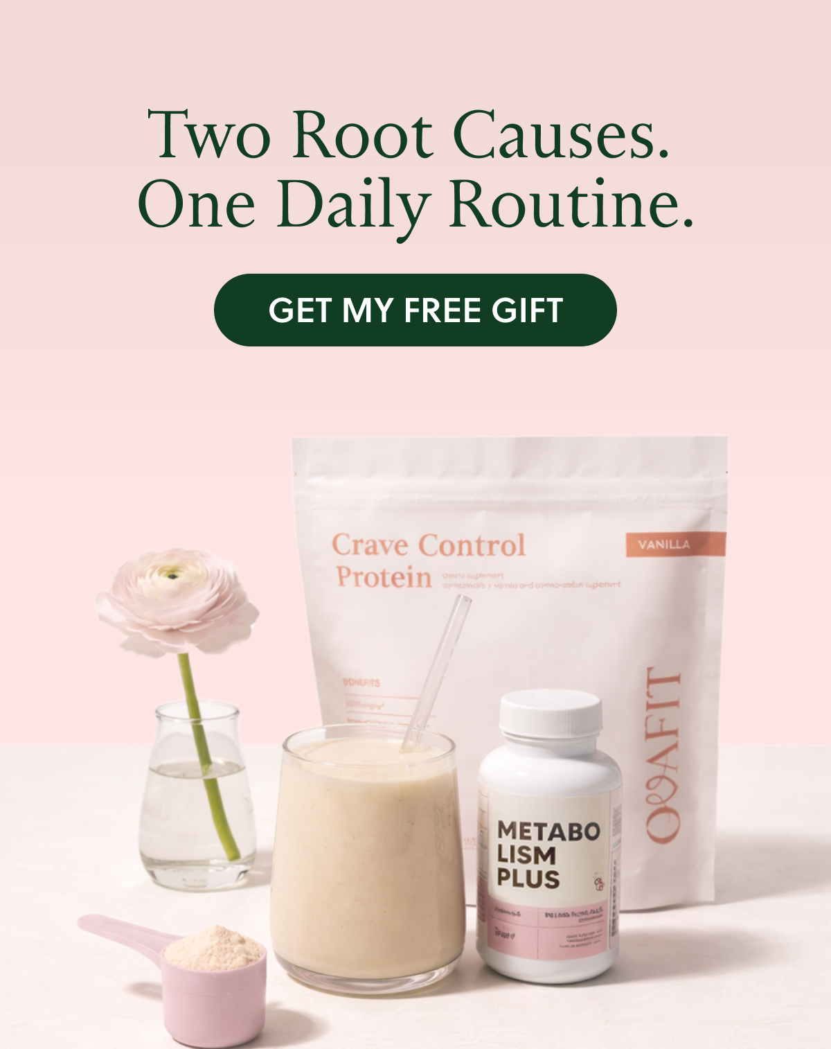 Two Root Causes. One Daily Routine. GET MY FREE GIFT