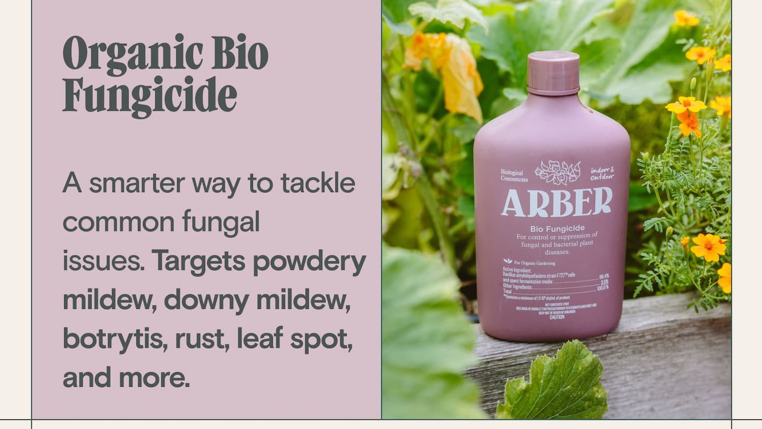 Organic Bio Fungicide &nbsp; A smarter way to tackle common fungal issues.&nbsp;Targets powdery mildew, downy mildew, botrytis, rust, leaf spot, and more.