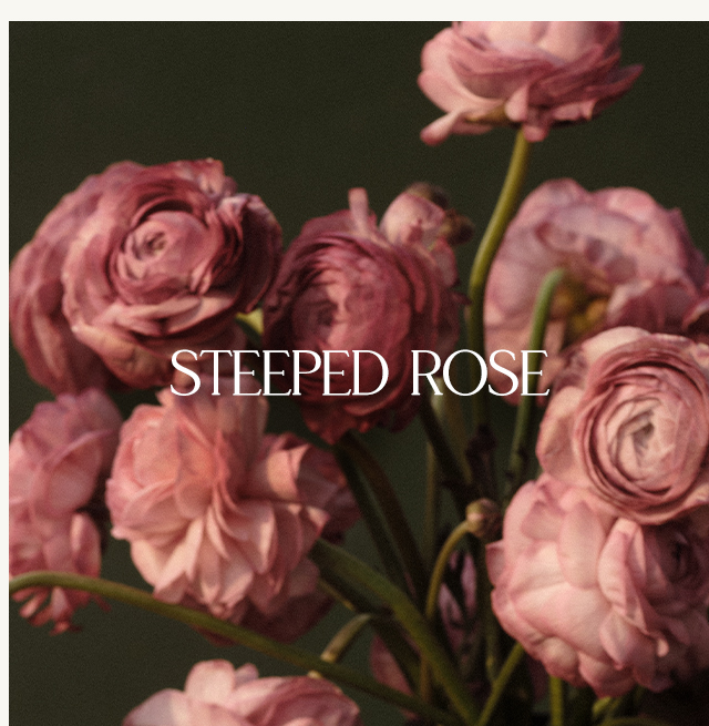 Steeped Rose