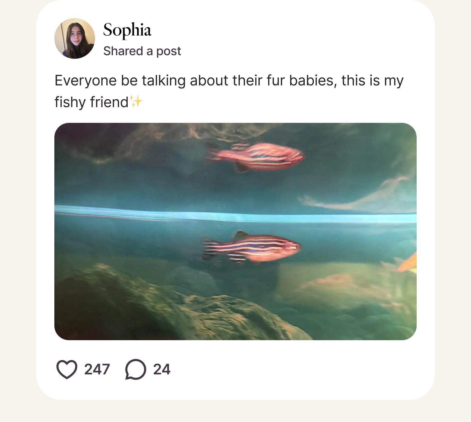 Post from Sophia
