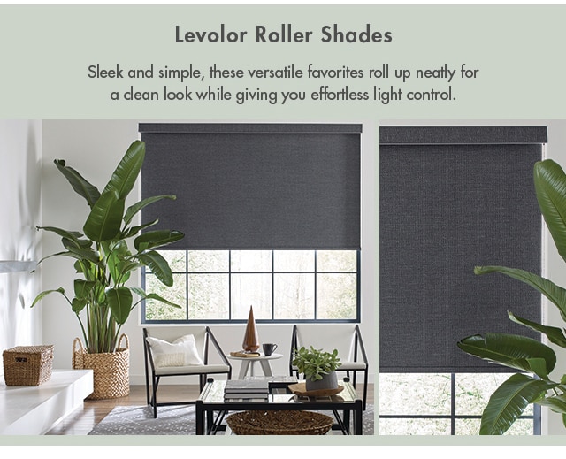 Levolor Roller Shades - Sleek and simple, these versatile favorites roll up neatly for a clean look while giving you effortless light control.